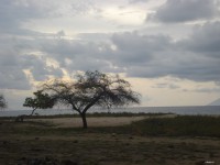 /album/dili-/fds-praia-do-dolar-dili-2012-38-jpg/